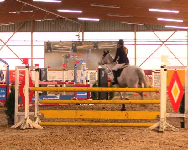 Reitturnier Pausin 2018