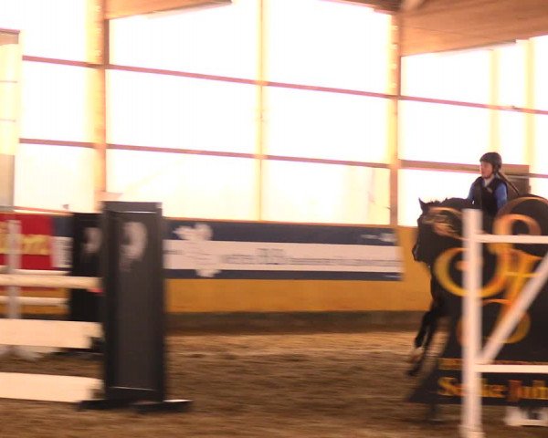 Reitturnier Pausin 2018