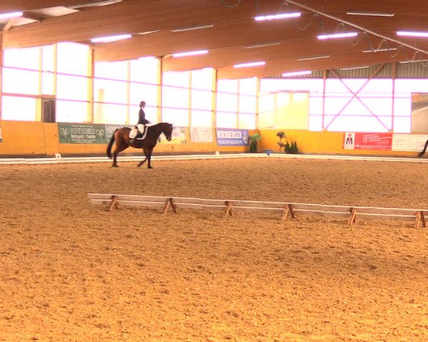 Reitturnier Pausin 2018