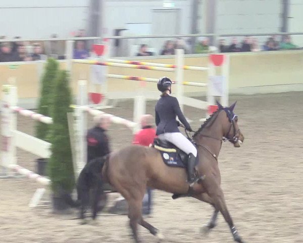 Reitturnier Waghäusel-Wiesental 2018