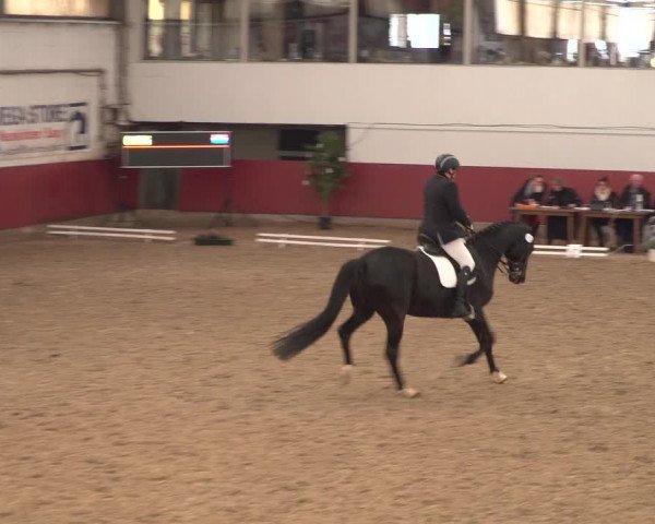 Reitturnier Neunkirchen-Furpach 2018