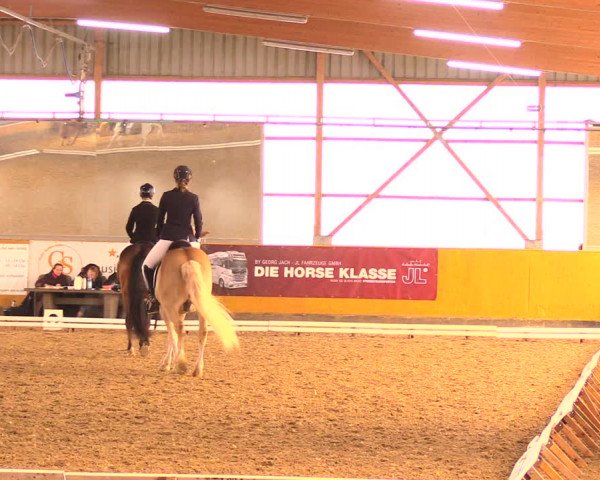 Reitturnier Pausin 2018
