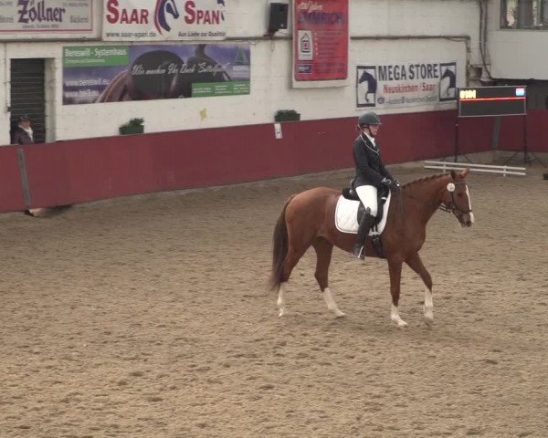 Reitturnier Neunkirchen-Furpach 2018