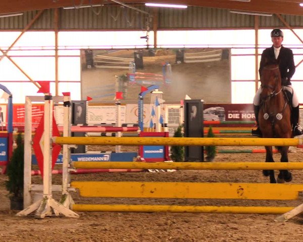 Reitturnier Pausin 2018