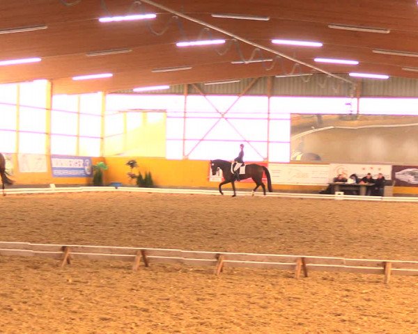 Reitturnier Pausin 2018