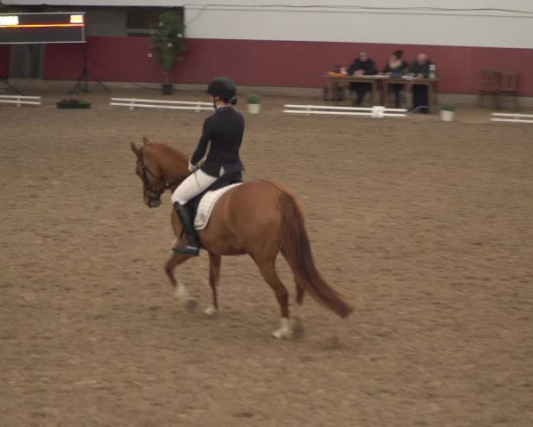 Reitturnier Neunkirchen-Furpach 2018