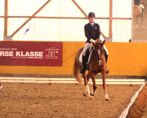 Reitturnier Pausin 2018