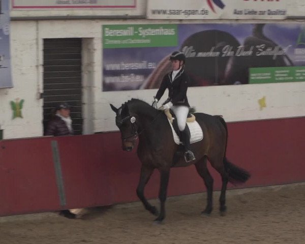 Reitturnier Neunkirchen-Furpach 2018
