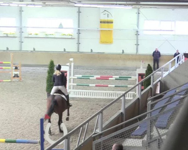 Reitturnier Waghäusel-Wiesental 2018