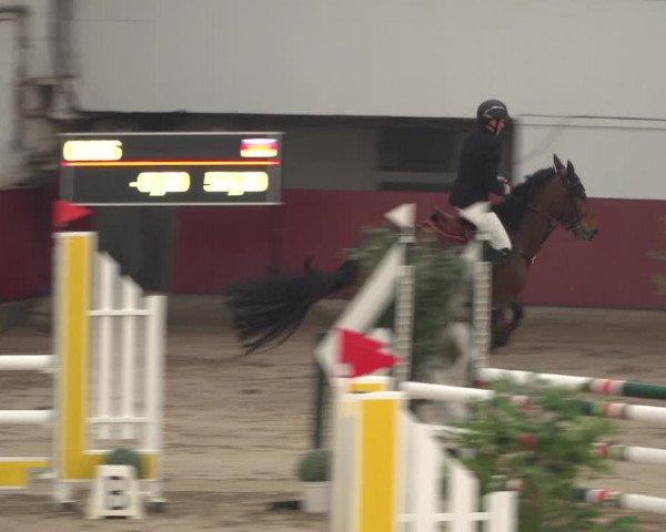 Reitturnier Neunkirchen-Furpach 2018