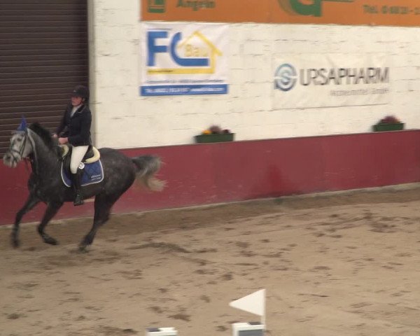 Reitturnier Neunkirchen-Furpach 2018