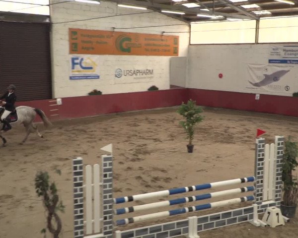 Reitturnier Neunkirchen-Furpach 2018