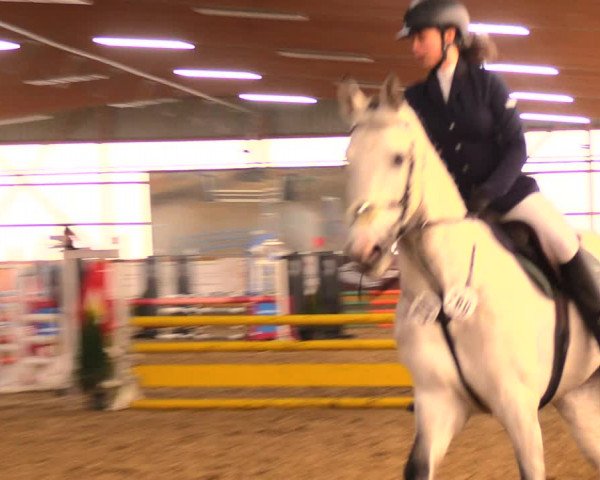 Reitturnier Pausin 2018