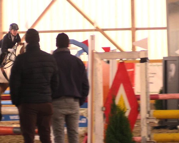 Reitturnier Pausin 2018