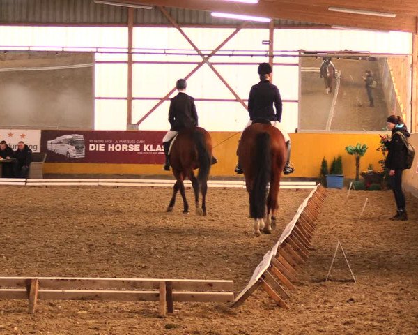 Reitturnier Pausin 2018