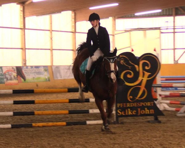 Reitturnier Pausin 2018
