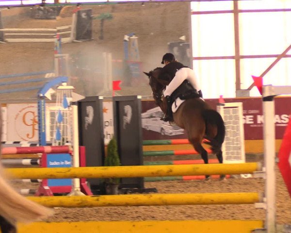 Reitturnier Pausin 2018