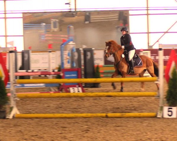 Reitturnier Pausin 2018