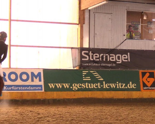 Reitturnier Pausin 2018