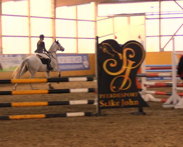 Reitturnier Pausin 2018