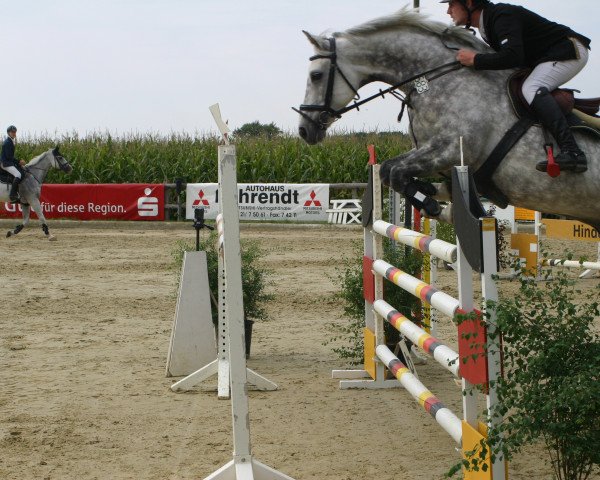jumper Vins 2 (Westphalian, 2007, from Vulkano FRH)