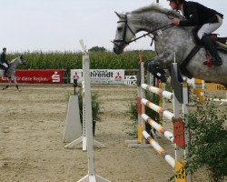 jumper Vins 2 (Westphalian, 2007, from Vulkano FRH)