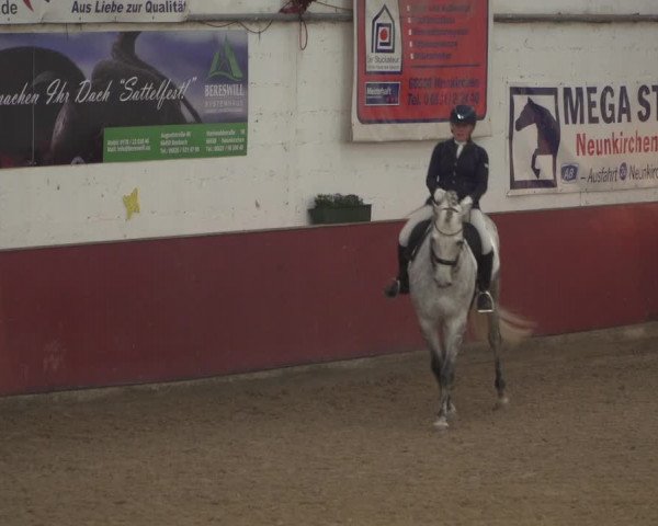 Reitturnier Neunkirchen-Furpach 2018