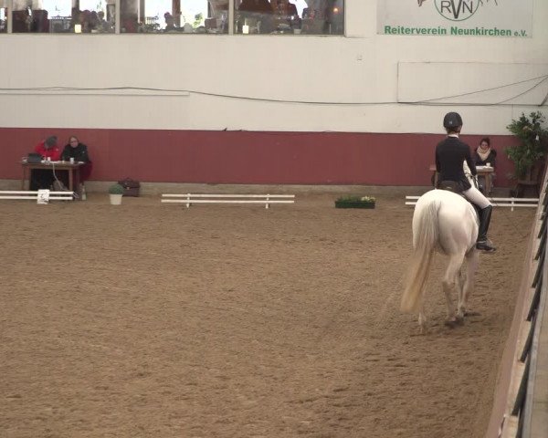 Reitturnier Neunkirchen-Furpach 2018