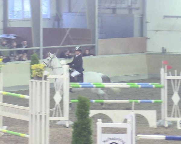 Reitturnier Waghäusel-Wiesental 2018