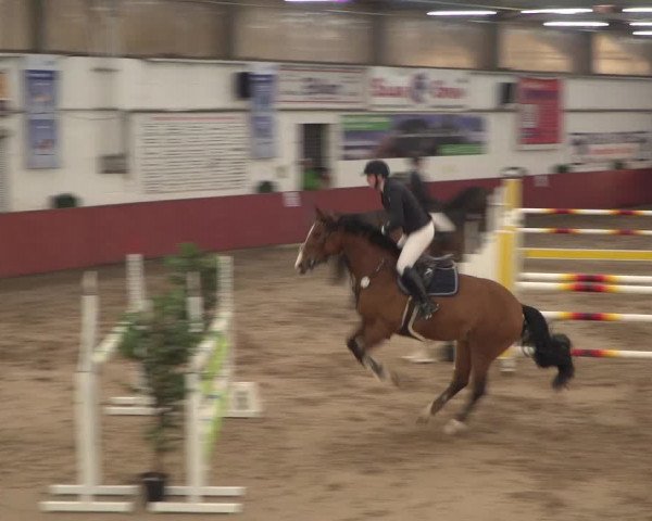 Reitturnier Neunkirchen-Furpach 2018