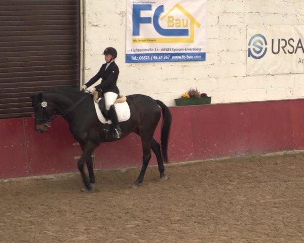 Reitturnier Neunkirchen-Furpach 2018