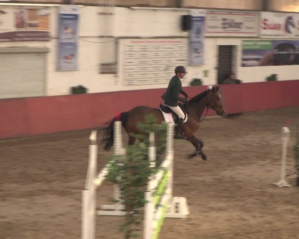 Reitturnier Neunkirchen-Furpach 2018