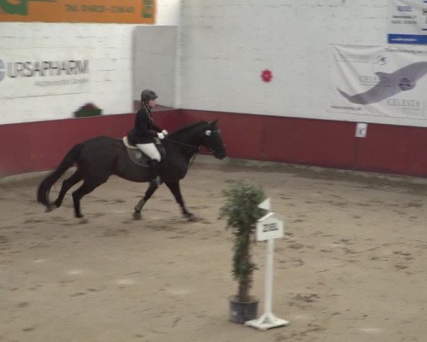 Reitturnier Neunkirchen-Furpach 2018