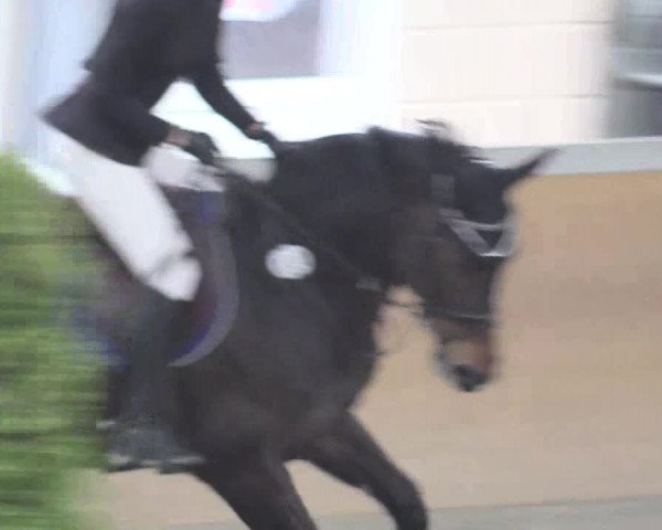 Reitturnier Waghäusel-Wiesental 2018