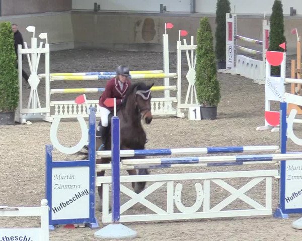 Reitturnier Waghäusel-Wiesental 2018