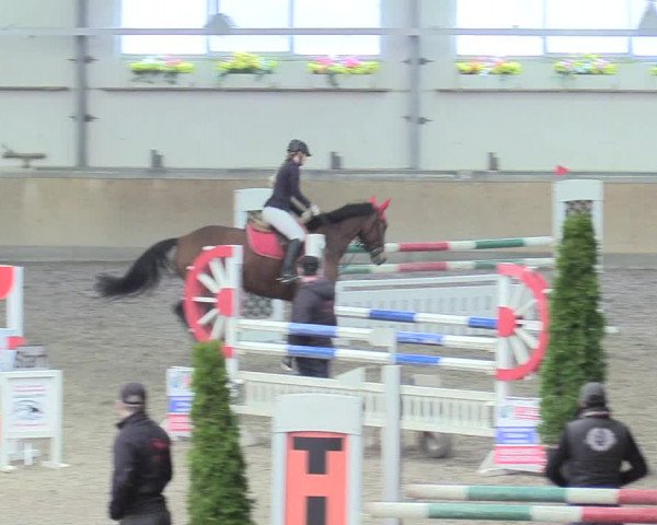Reitturnier Waghäusel-Wiesental 2018