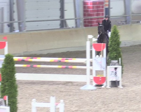 Reitturnier Waghäusel-Wiesental 2018