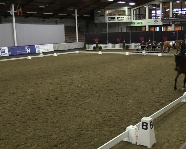 Reitturnier Münster-Handorf 2021