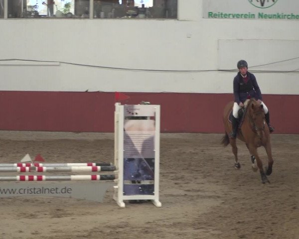 Reitturnier Neunkirchen-Furpach 2018