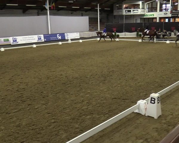 Reitturnier Münster-Handorf 2021