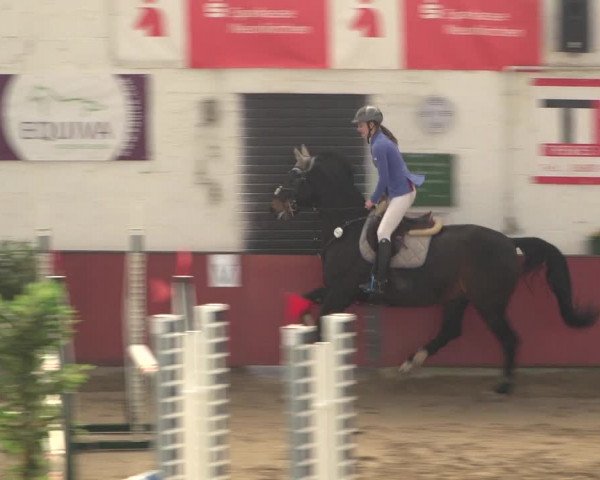 Reitturnier Neunkirchen-Furpach 2018