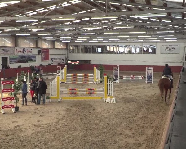 Reitturnier Neunkirchen-Furpach 2018