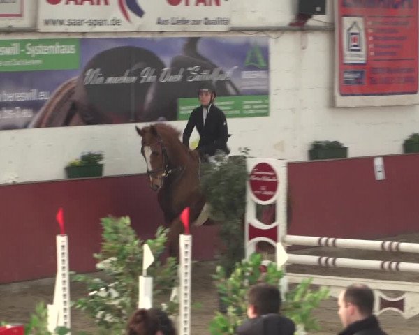 Reitturnier Neunkirchen-Furpach 2018