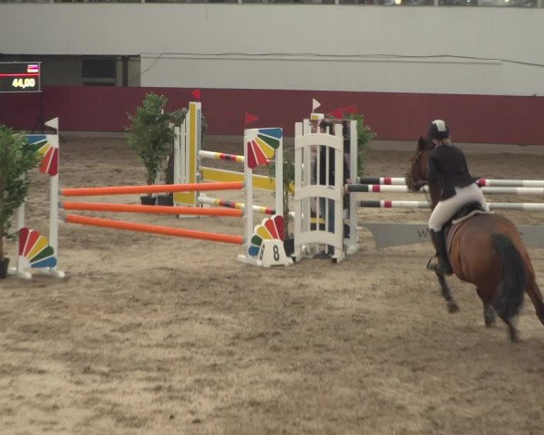 Reitturnier Neunkirchen-Furpach 2018