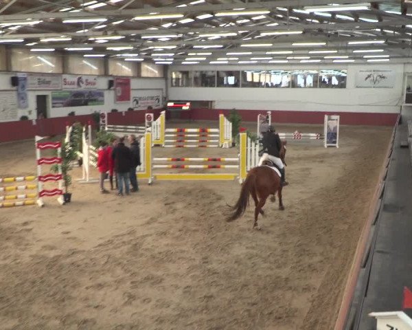 Reitturnier Neunkirchen-Furpach 2018