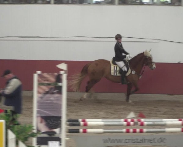 Reitturnier Neunkirchen-Furpach 2018