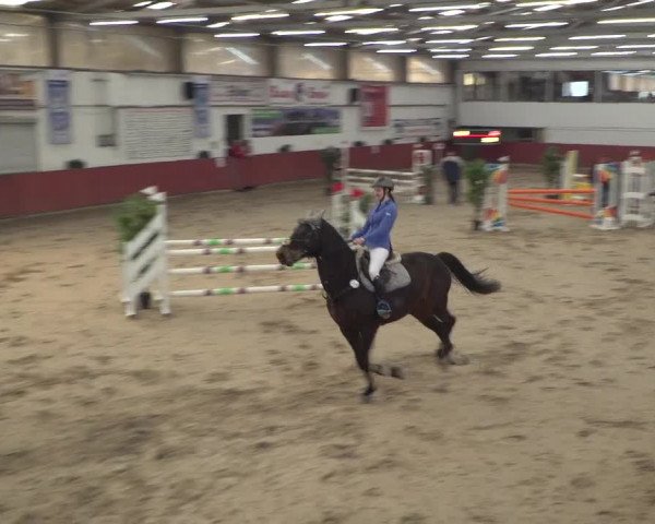 Reitturnier Neunkirchen-Furpach 2018