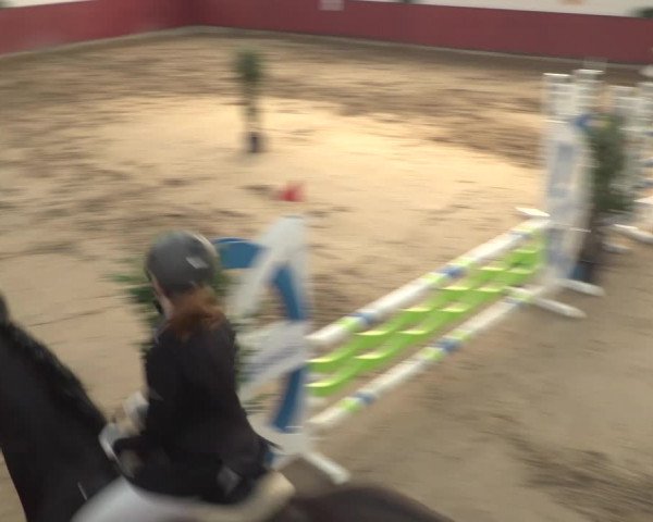 Reitturnier Neunkirchen-Furpach 2018