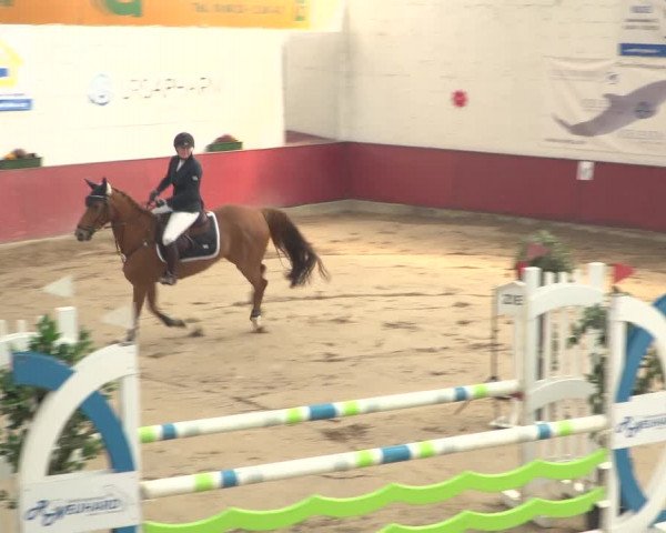 Reitturnier Neunkirchen-Furpach 2018