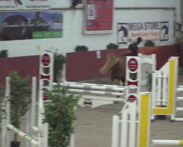 Reitturnier Neunkirchen-Furpach 2018